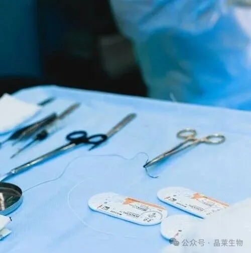 1776222206650422.png 2.png