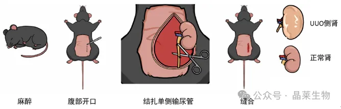 1776222215194261.png 3.png