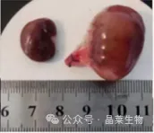 1776222255254713.png 4.png