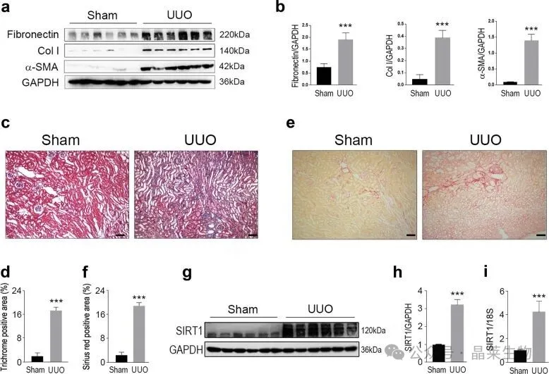 1776222263539260.png 5.png