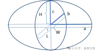 1786599373761026.png 2.png